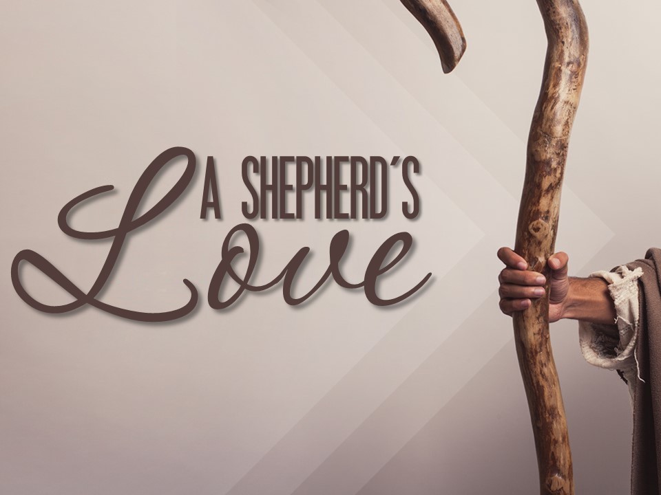 A Shepherd's Love, part 2