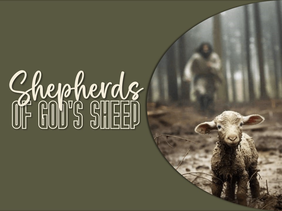 Shepherds of God's Sheep