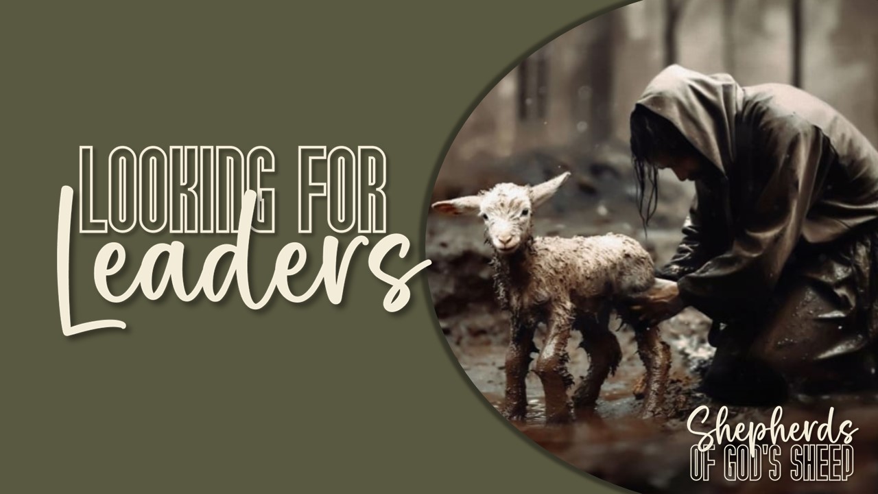 Looking for Leaders